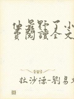 他最野了小说免费阅读全文