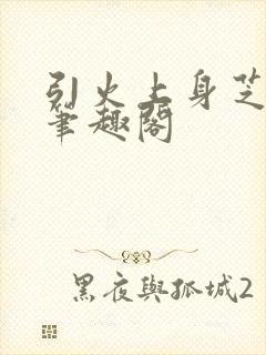 引火上身芝麻糖笔趣阁