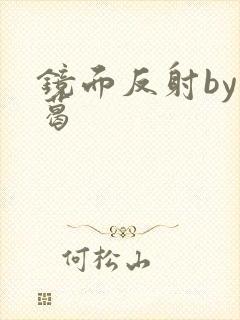 镜面反射by九葛