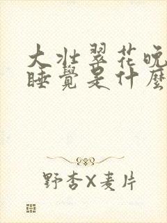 大壮翠花晚上不睡觉是什么电视剧