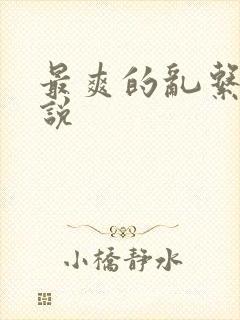 最爽的乱系列小说