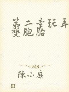 第二章玩弄少妇双胞胎