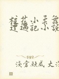 校花小柔舞蹈室遭遇记小说