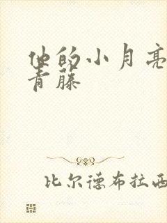 他的小月亮by青藤