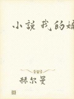 小说 我的娇妻