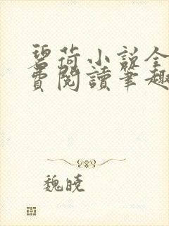 碧荷小说全文免费阅读笔趣阁