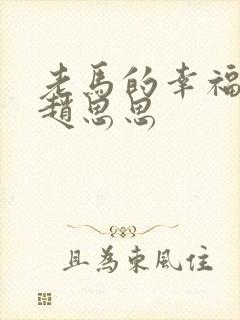 老马的幸福生活赵思思