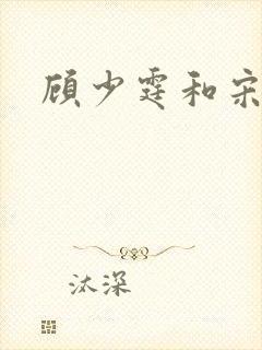 顾少霆和宋斯曼