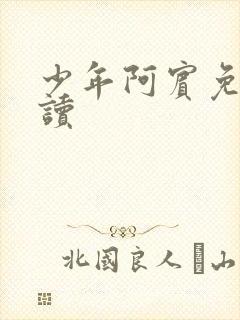 少年阿宾免费阅读