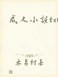 成人小说txt