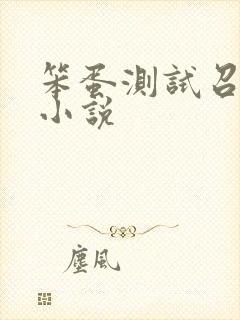 笨蛋测试召唤兽小说