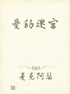 爱的迷宫