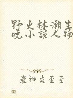 野火林潮生林晚晚小说人物野火