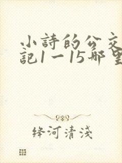 小诗的公交车日记1一15哪里能看