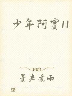 少年阿宾11