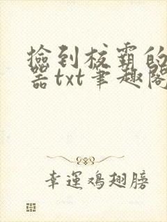 捡到校霸的遥控器txt笔趣阁