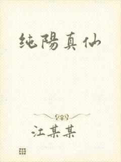 纯阳真仙