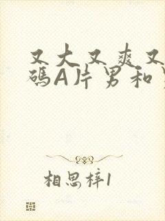 又大又爽又黄无码A片男和男