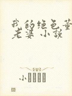 我的绝色董事长老婆 小说