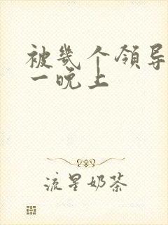 被几个领导玩弄一晚上