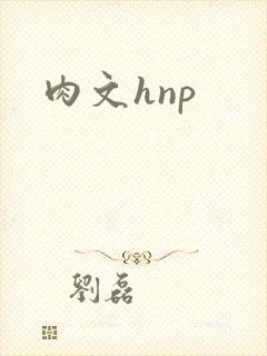肉文hnp