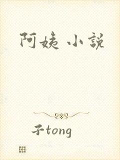 阿姨 小说