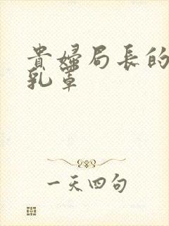 贵妇局长的蕾丝乳罩