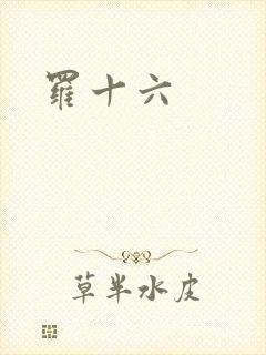 罗十六