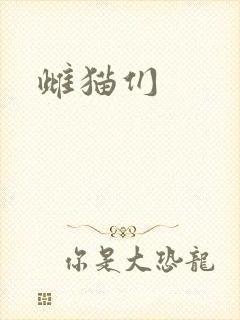 雌猫们