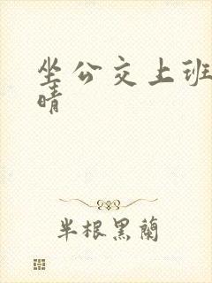 坐公交上班的苏晴