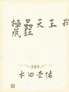 极品天王 我本疯狂