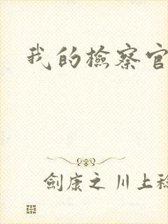 我的检察官先生