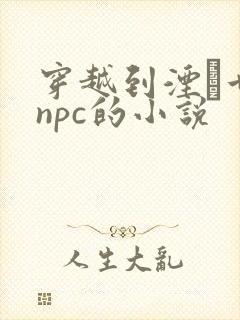 穿越到湮婸世界npc的小说