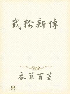 武松新传