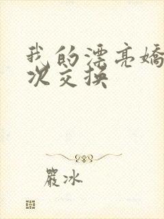 我的漂亮娇妻初次交换