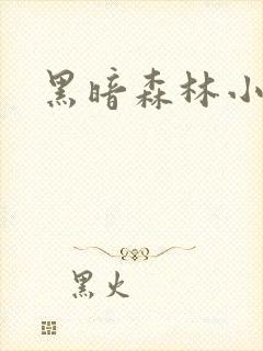 黑暗森林小说