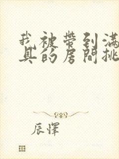 我被带到满是玩具的房间挑调游戏