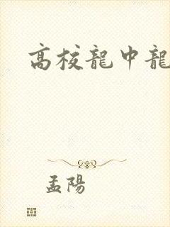高校龙中龙