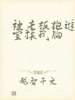 被老板抱进办公室揉我胸