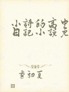 小诗的高中成长日记小说免费阅读