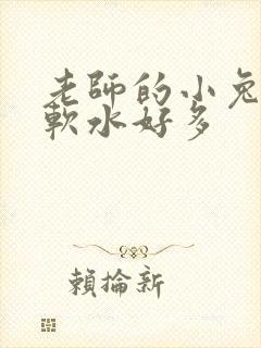 老师的小兔子好软水好多