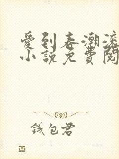 爱到春潮滚滚来小说免费阅读