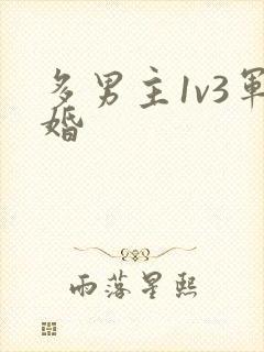 多男主1v3军婚