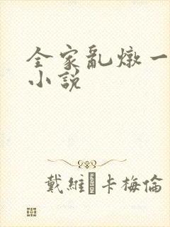 全家乱炖一锅烩小说