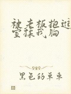 被老板抱进办公室揉我胸