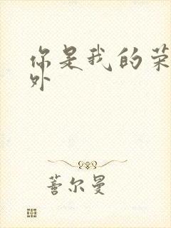 你是我的荣耀番外