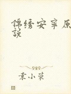 锦绣安宁原著小说
