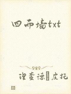 四面墙txt