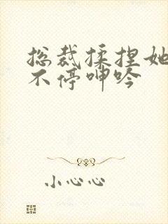 总裁揉捏她两乳不停呻吟