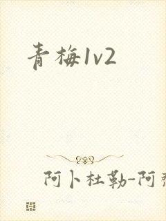 青梅1v2